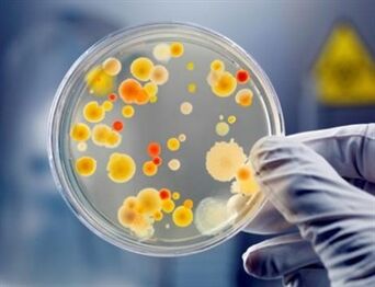 Τα βακτήρια μπορούν να προκαλέσουν χρόνια προστατίτιδα