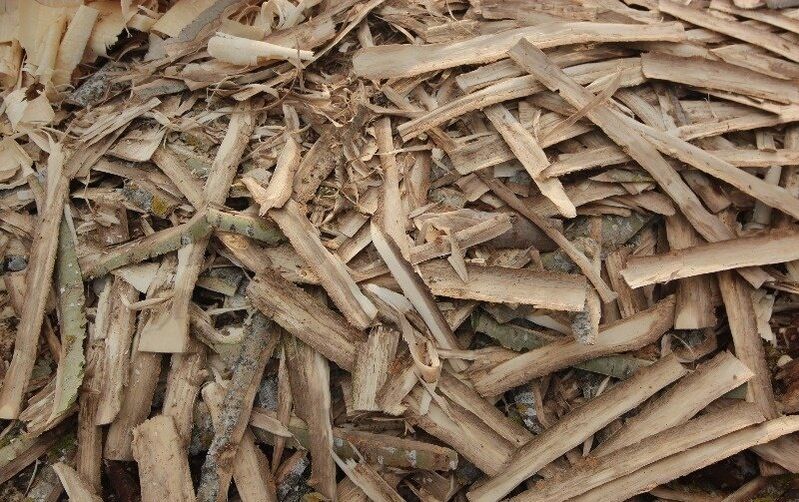 Φλοιός Aspen για προστατίτιδα